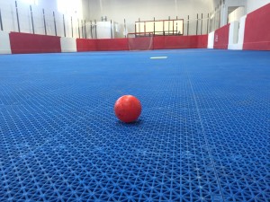 image_ballhockeyrink